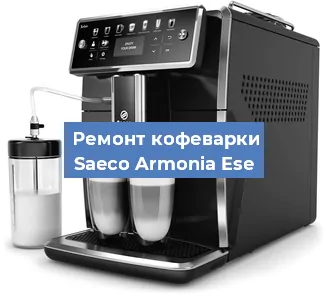 Замена прокладок на кофемашине Saeco Armonia Ese в Новосибирске